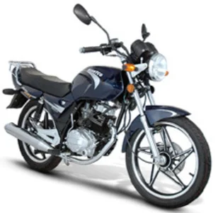 Giantco Hunter City 125