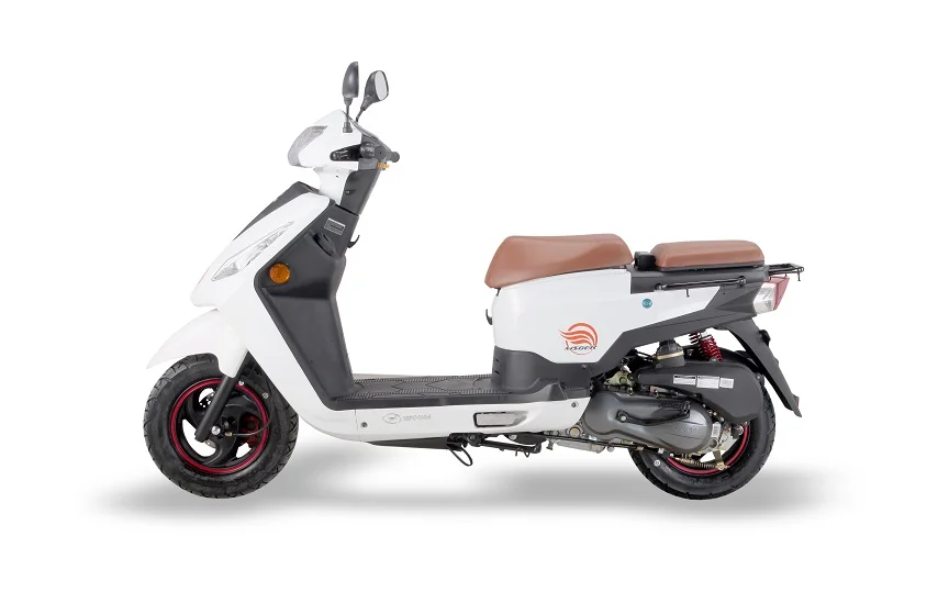 Nipponia Msger 125