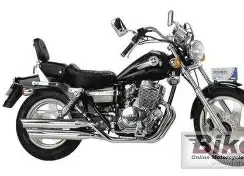 Chang-Jiang BD 250 2013