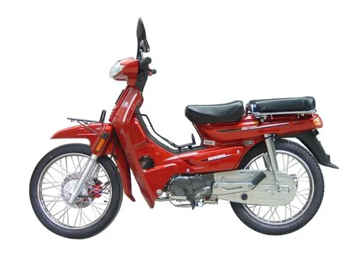 Nipponia NC 90