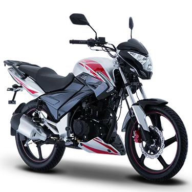 Italika DT250Sport