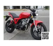 Johnny Pag FX-3 2009