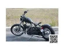 Johnny Pag Raptor 300 2009