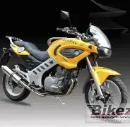 Jonway YY 250 X-8 2012