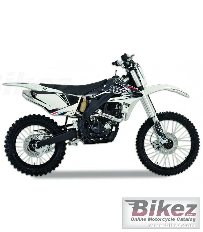 Motors RX250R