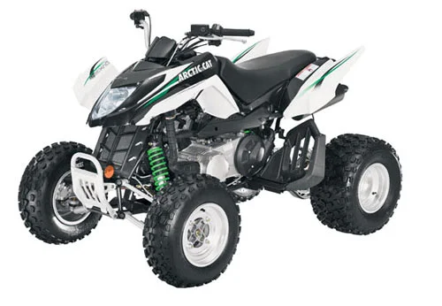Arctic Cat 300 DVX 2009