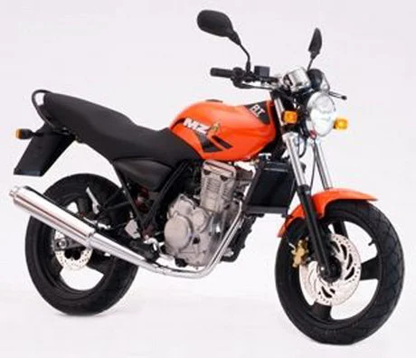 MZ RT-Striker 125 2008