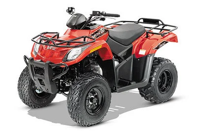 Arctic Cat 300