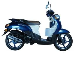 Demak Rino S 2011