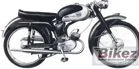 NSUQuickly Cavalino