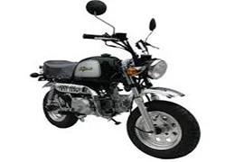 Lifan LF100-C