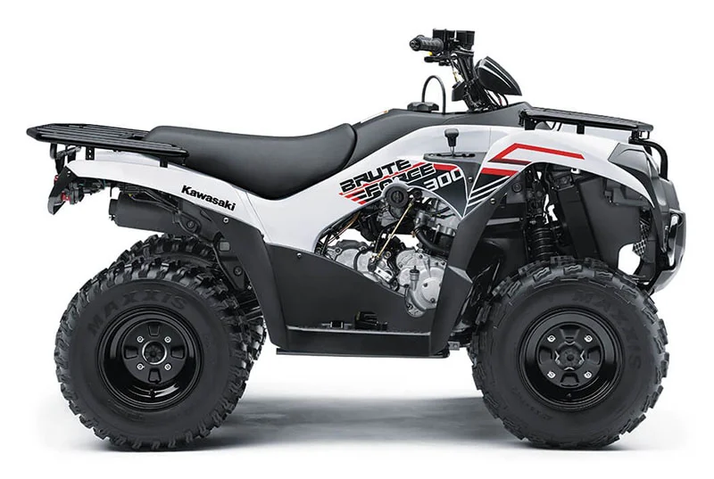 Kawasaki Brute Force 300