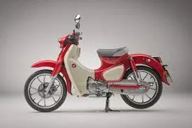 Honda Super Cub C125