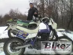 Suzuki DR 650 R Dakar (reduced effect)