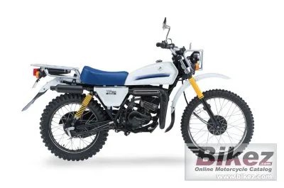 Suzuki TF 125