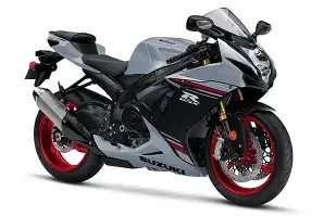 Suzuki TS 400 Hustler