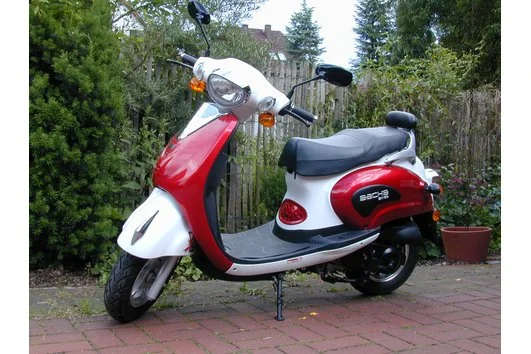 Sachs Bee 50