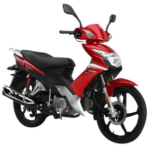 Haojue Lucky Sport HJ 110-3 2020