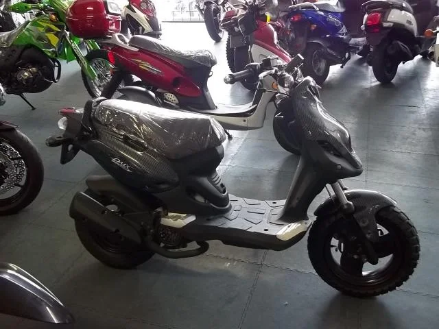 PGO PMS 110