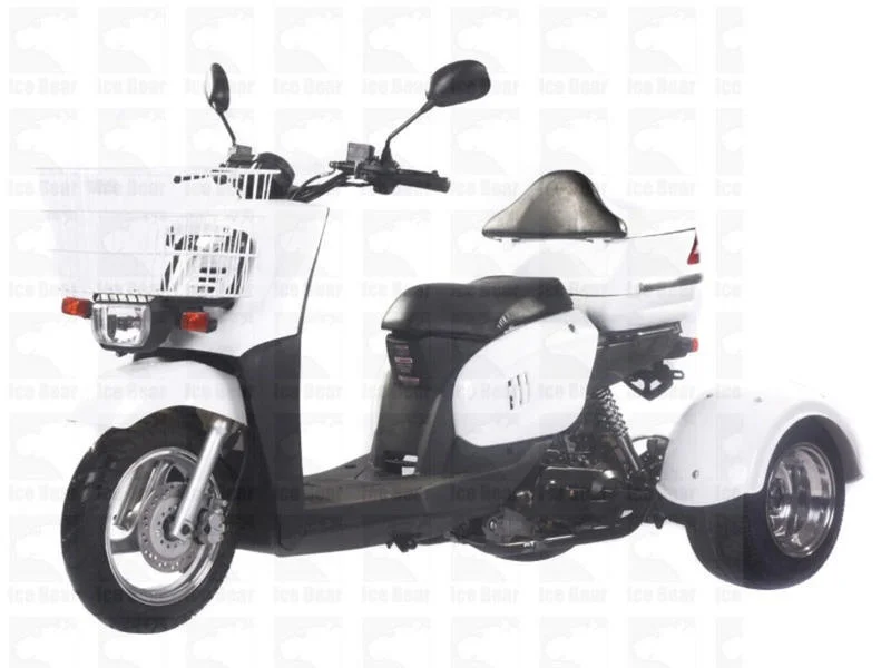 Ice Mini Cruzzer 50 Trike 2016