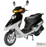 Yiben YB 50 QT-3 2010