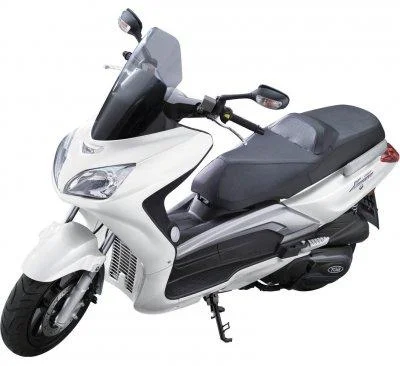 TGB X Large 250 EFI