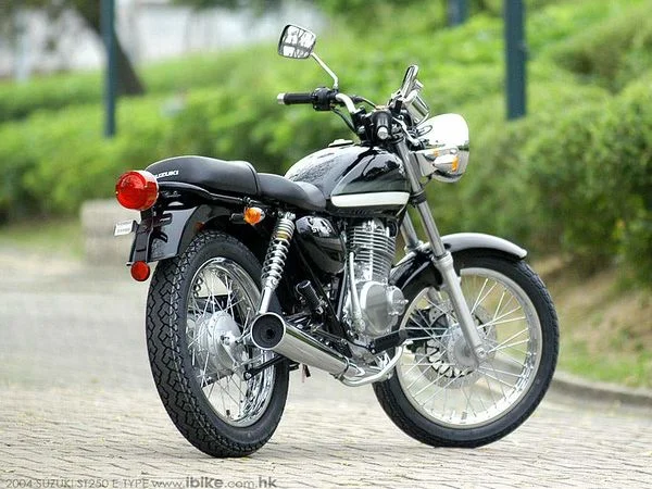 Suzuki ST250 E