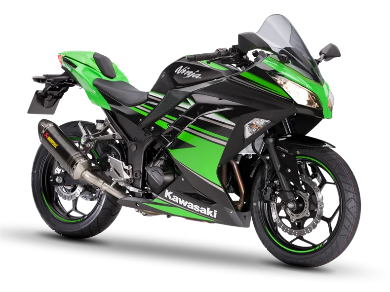 Kawasaki Ninja 300 Performance