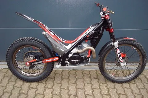 Xispa 25 2008