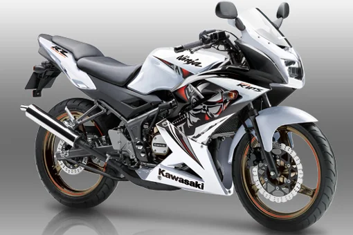 Kawasaki Ninja RR Special Edition