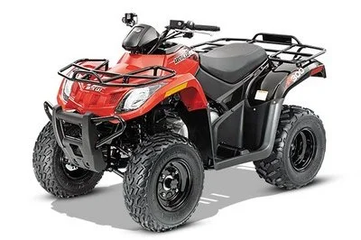 Arctic Cat 300 2014
