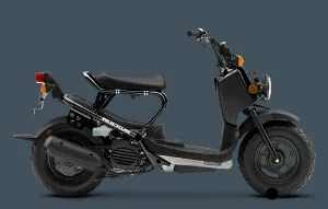 Honda Ruckus