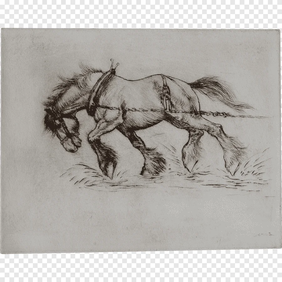 Mustang Thoroughbred