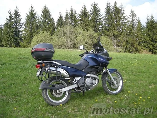Suzuki XF 650 Freewind