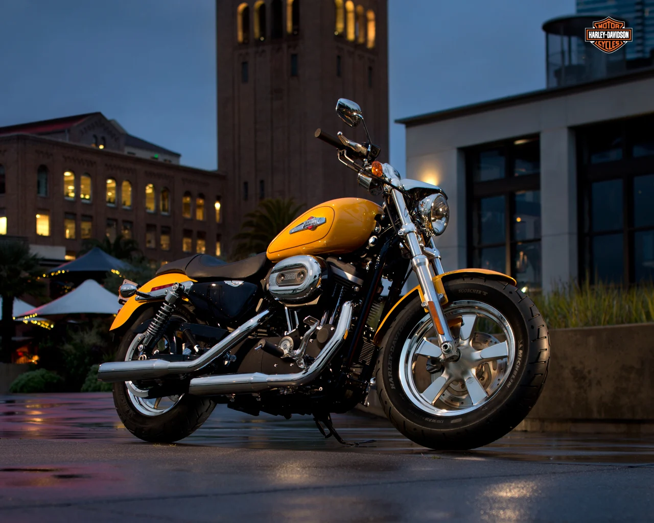 Harley-Davidson 1200 Custom 110th Anniversary
