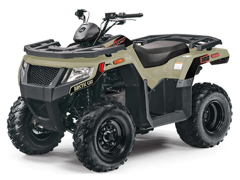 Arctic Cat Alterra 300 2022
