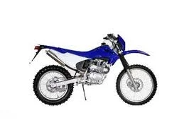 Diamo RS250 2008