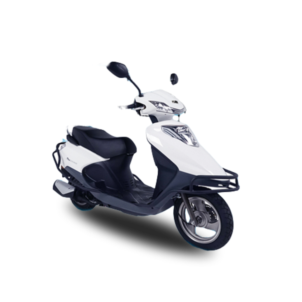 Kuba Zenzero 2022
