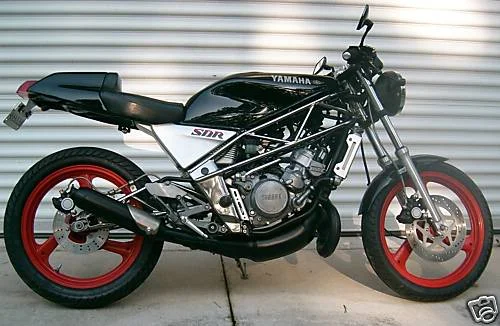 Yamaha SDR 200