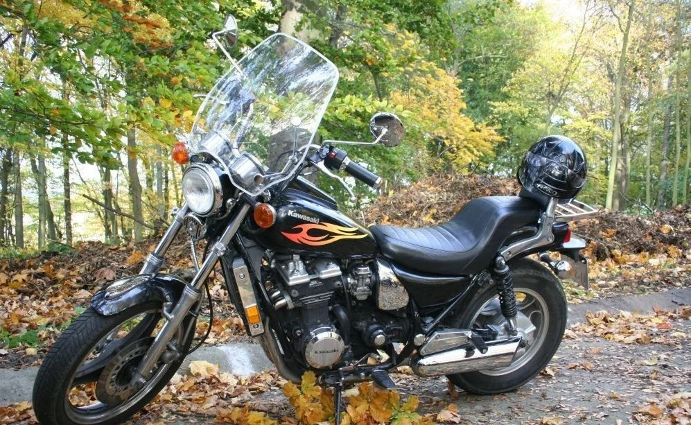Kawasaki ZL 600