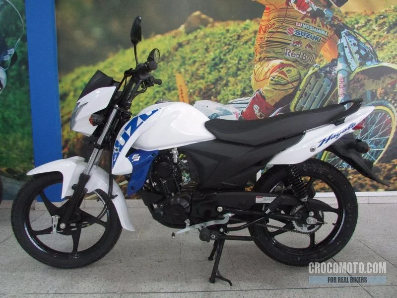Suzuki Hayate Evolution