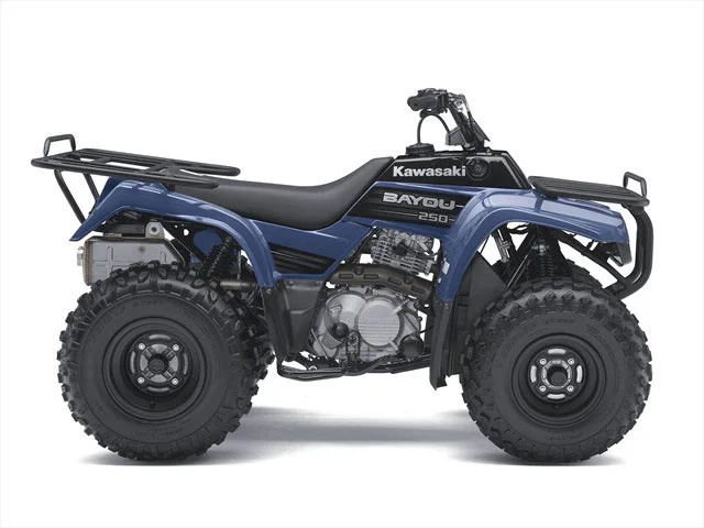 Kawasaki Bayou 250