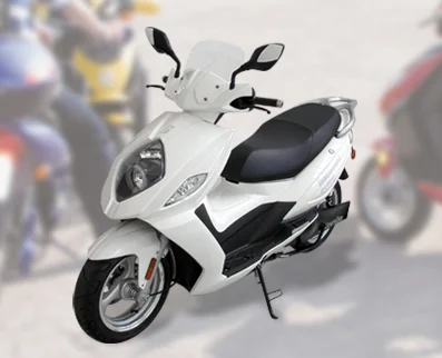 Innoscooter Elektroroller EM 6000 Maxi-Lithium 2010