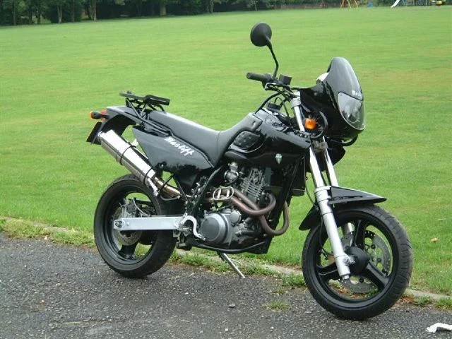 MZ Mastiff