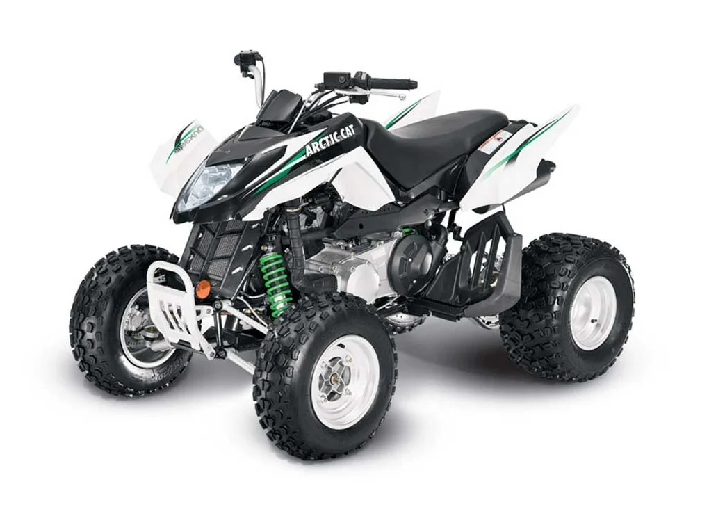 Arctic Cat 300 DVX 2010