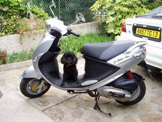 PGO My BuBu 125
