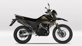 UM DSRX 200 2021