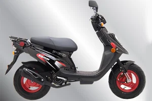 PGO Big Max 50