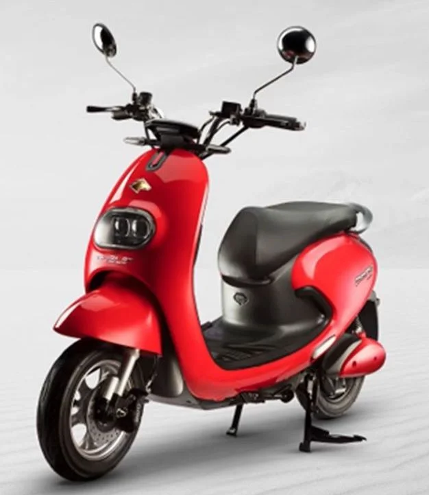 Evolet Pony Classic 2021