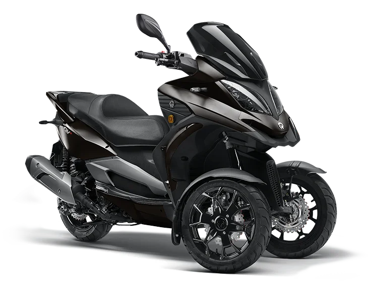 Quadro QV3 2019